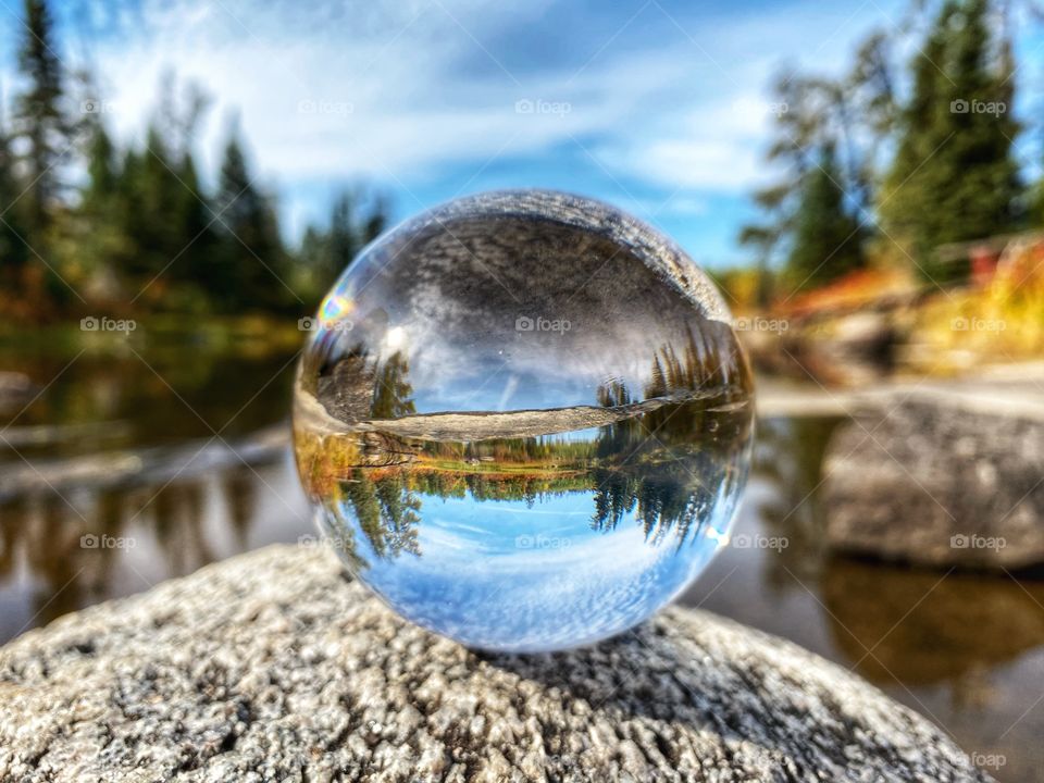 Nature through the lens ball 