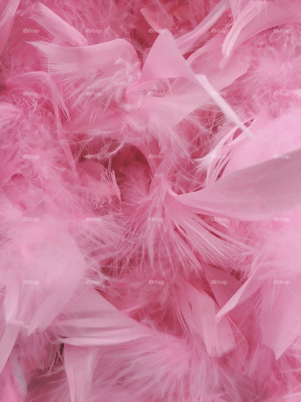 Full frame of pink feather