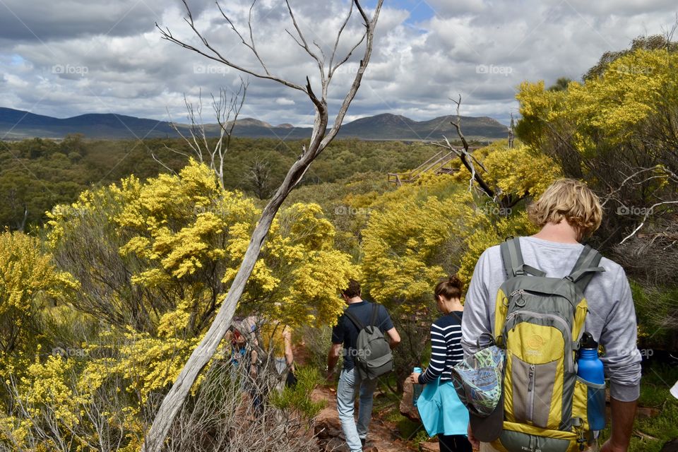 Family group of hikers and backpackers walking down a mountain trail in the Flinders Ranges of south Australia at wilpena pound 