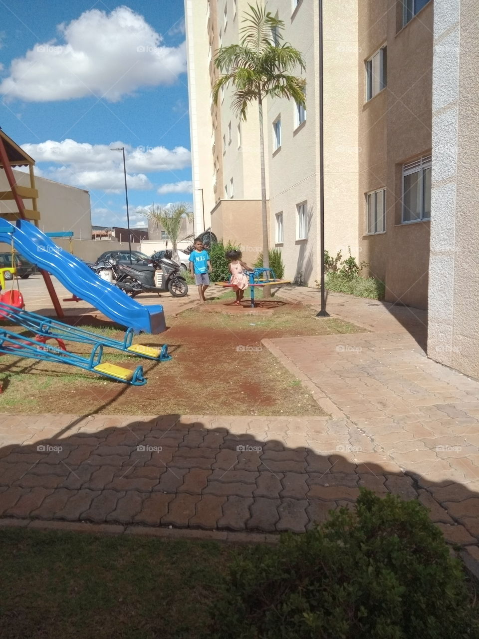 Editors'Choice Photo of the week