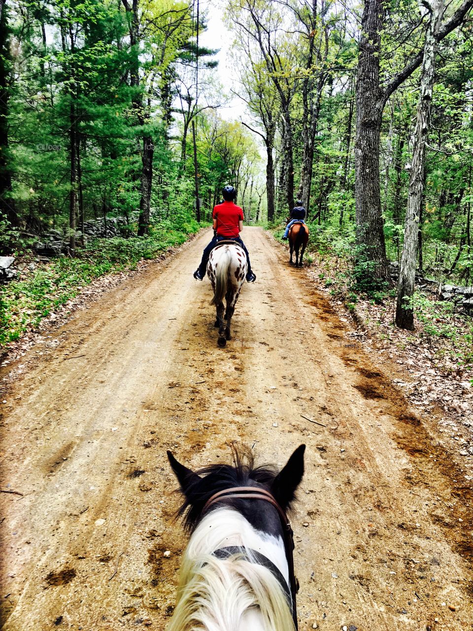 Riding the Trails