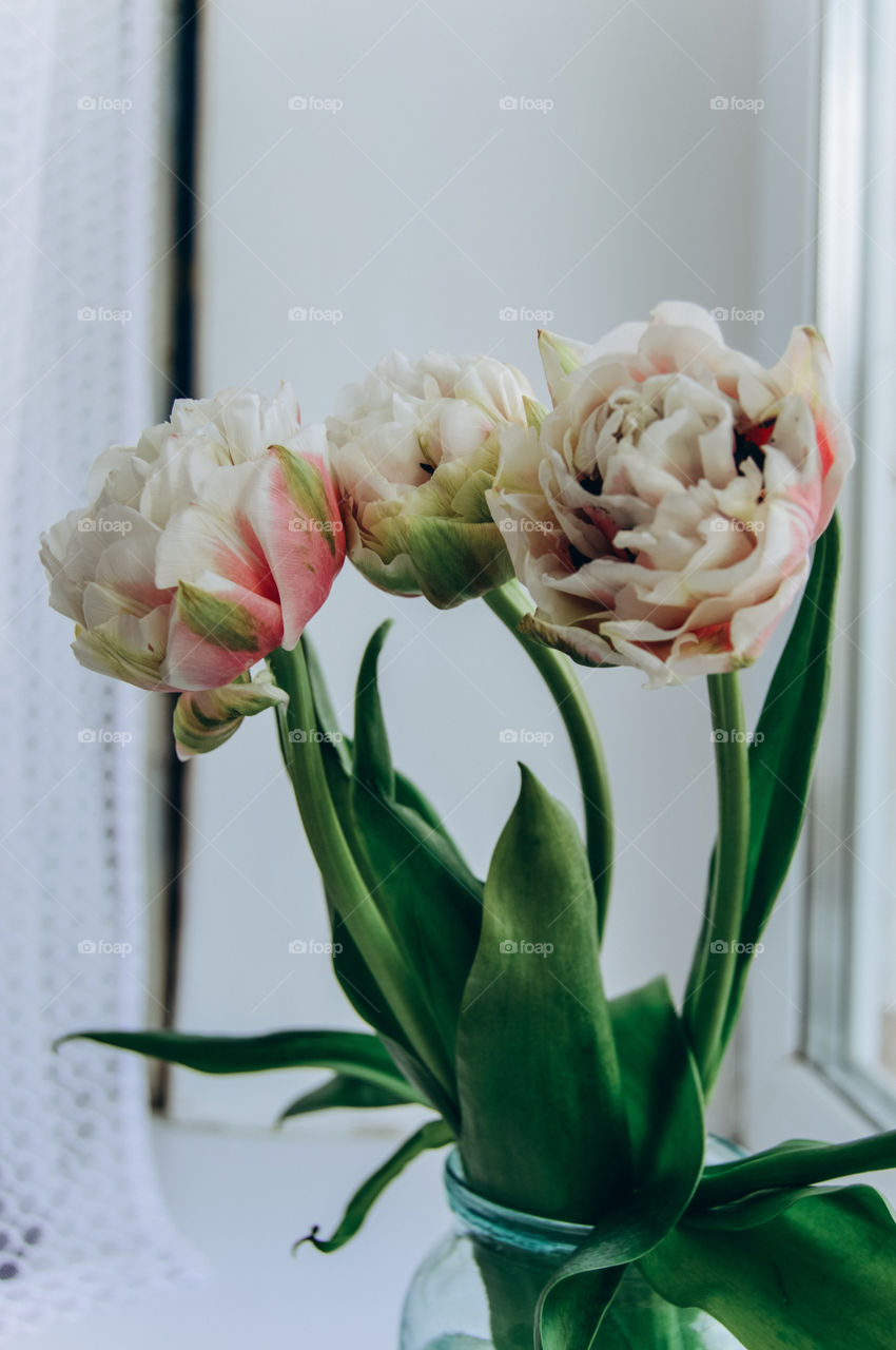 Tulips are among the first to appear in the spring. They are fragile and tender, filled with freshness and cheerfulness-they drive away melancholy and bad mood, make you smile.
 