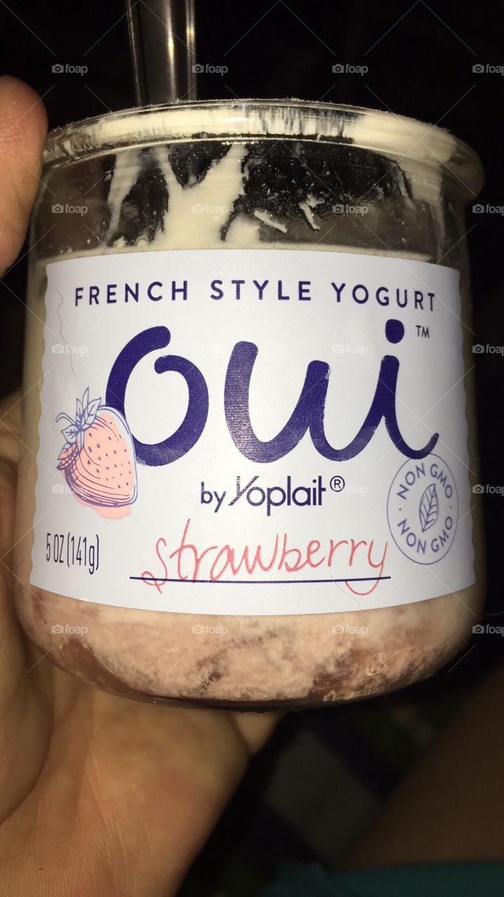 French Yogurt 