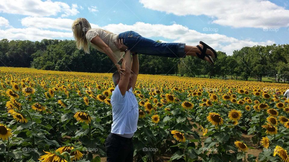 Dirty Dancing and Sunflowers. Sunflower field