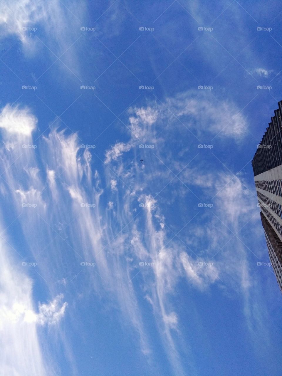 the airplane in the blue sky