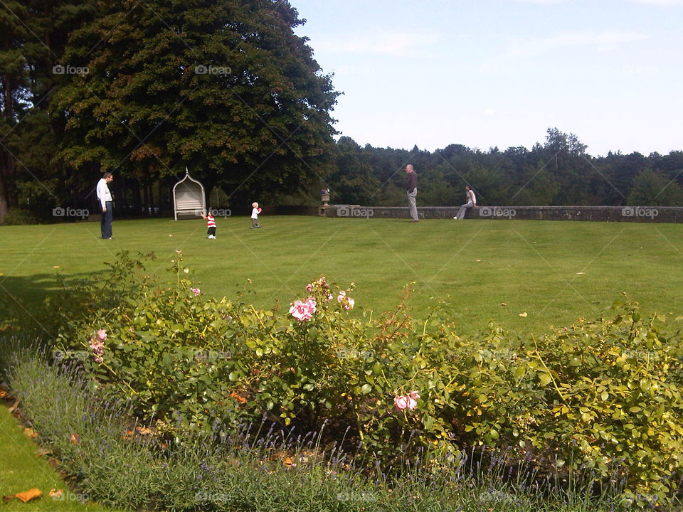 English country garden in Surrey