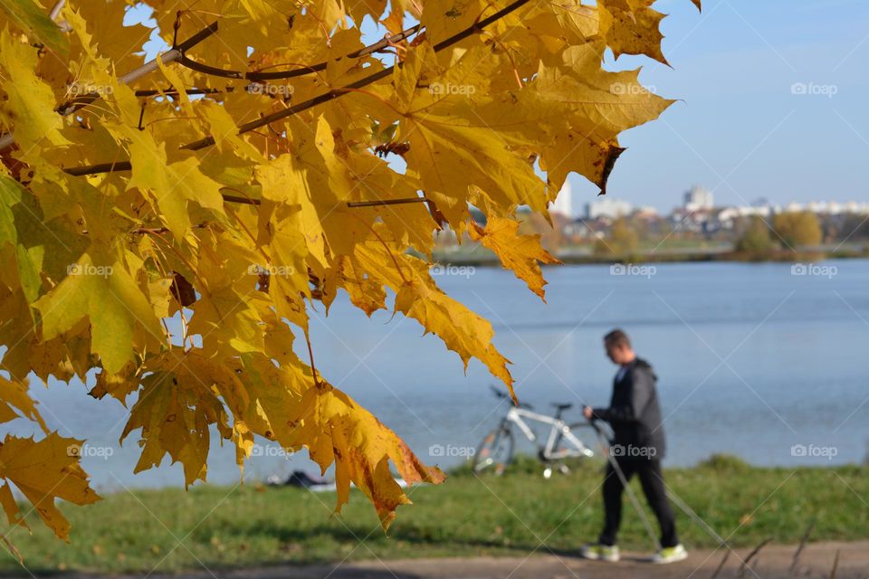 person sports activities autumn time, beautiful autumn nature