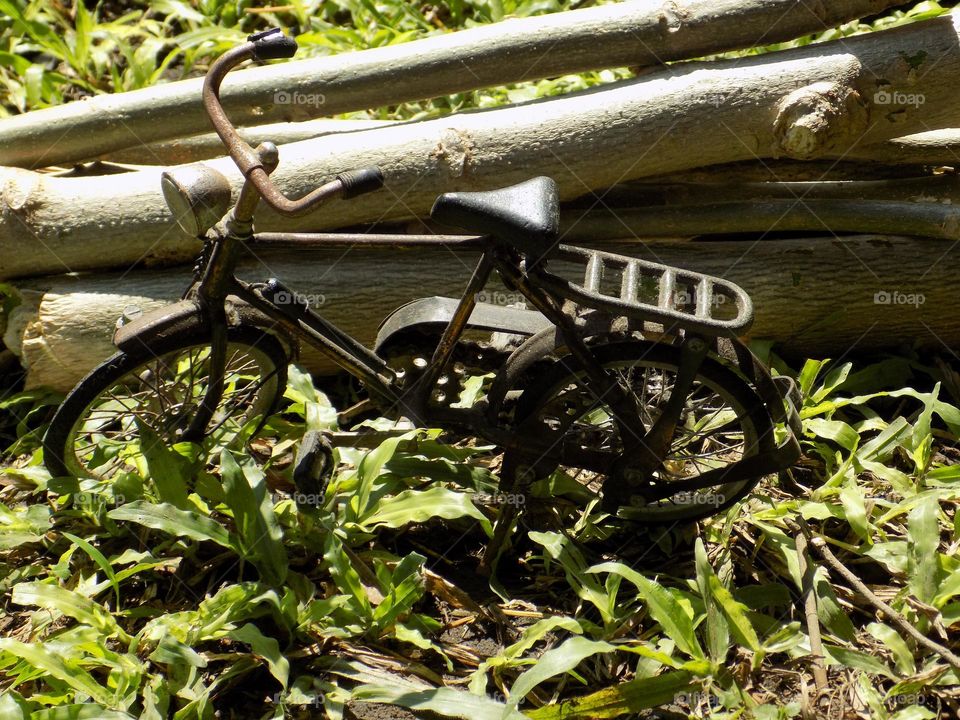 Toy bicycle on the grass