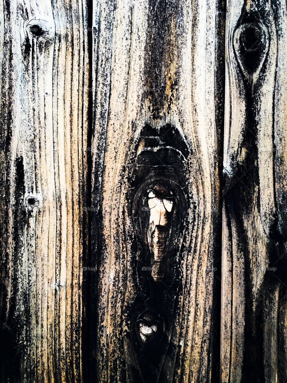 Wood Plank Color 1