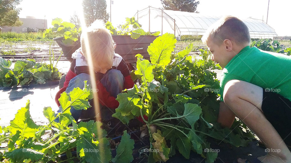 Gardening Together