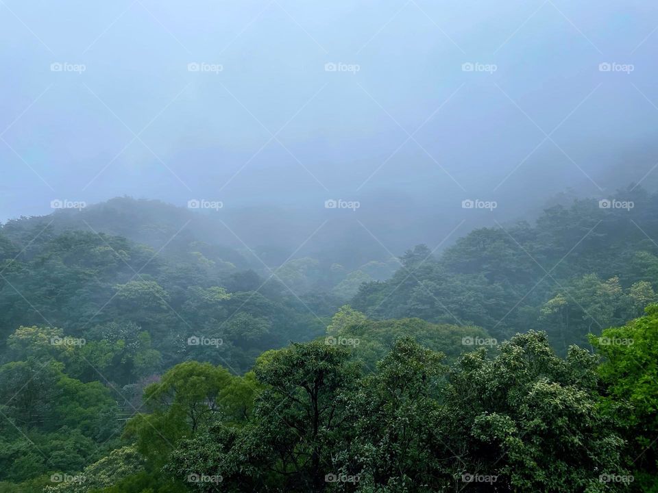 Surrounded by clouds and fog