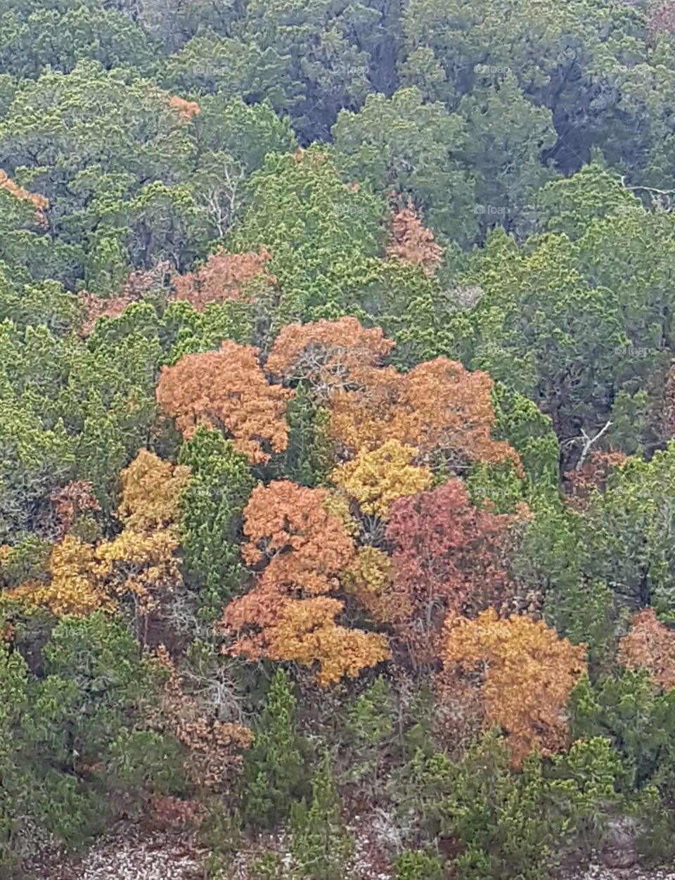 changing colors in the fall