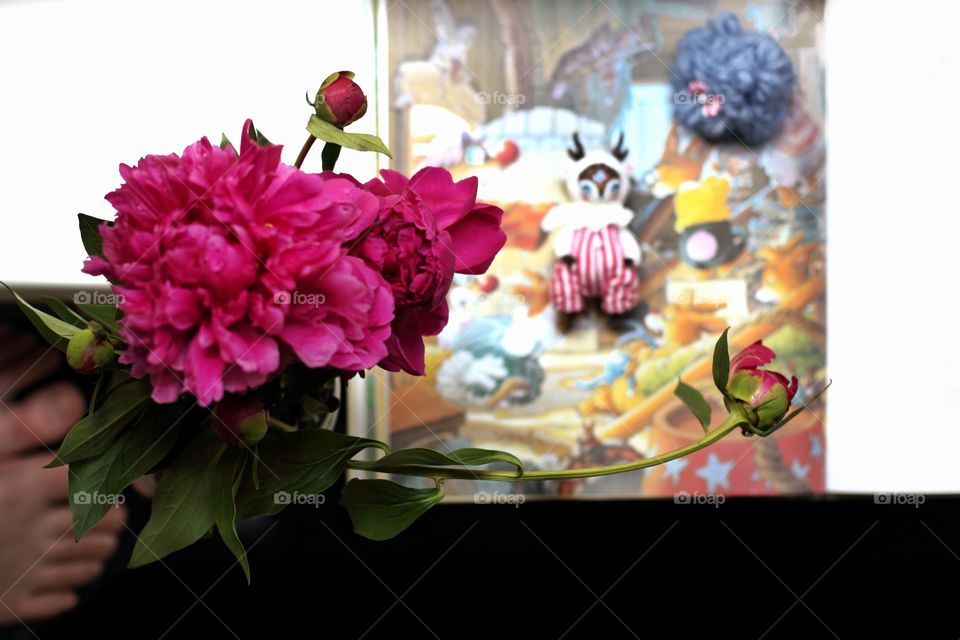 Morning on the windowsill. Peonies and lovely story with talisman deer.