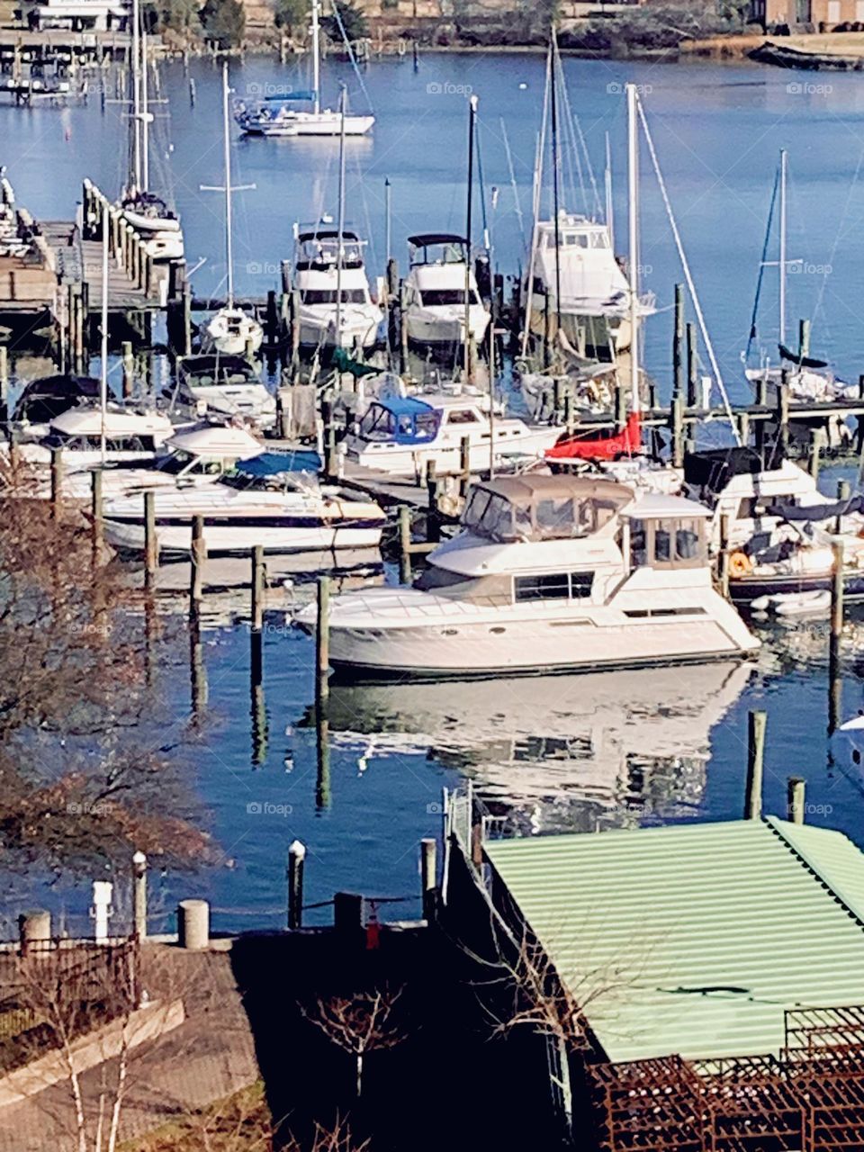 Hampton Marina 