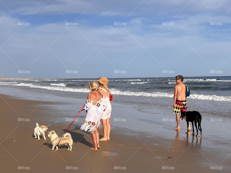 Walking with dogs on beach