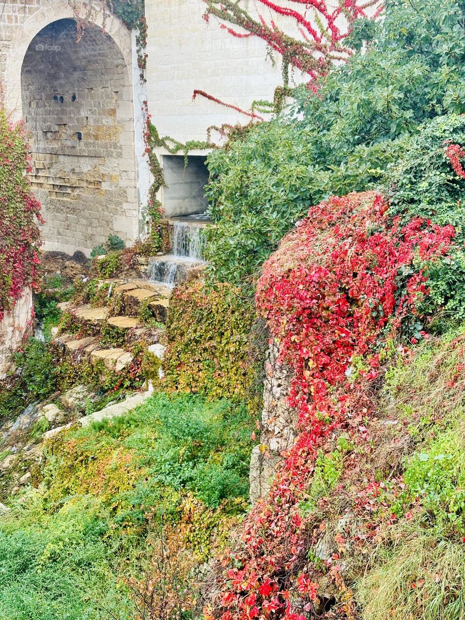 Vine covered stone walls in Polignano a Mare, Puglia in late Fall.