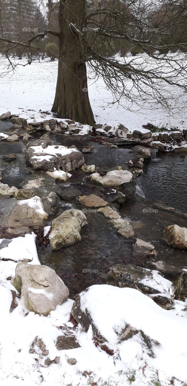 cours d'eau au parc Barbieux