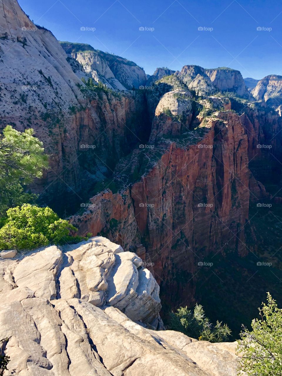 View from angels landing 