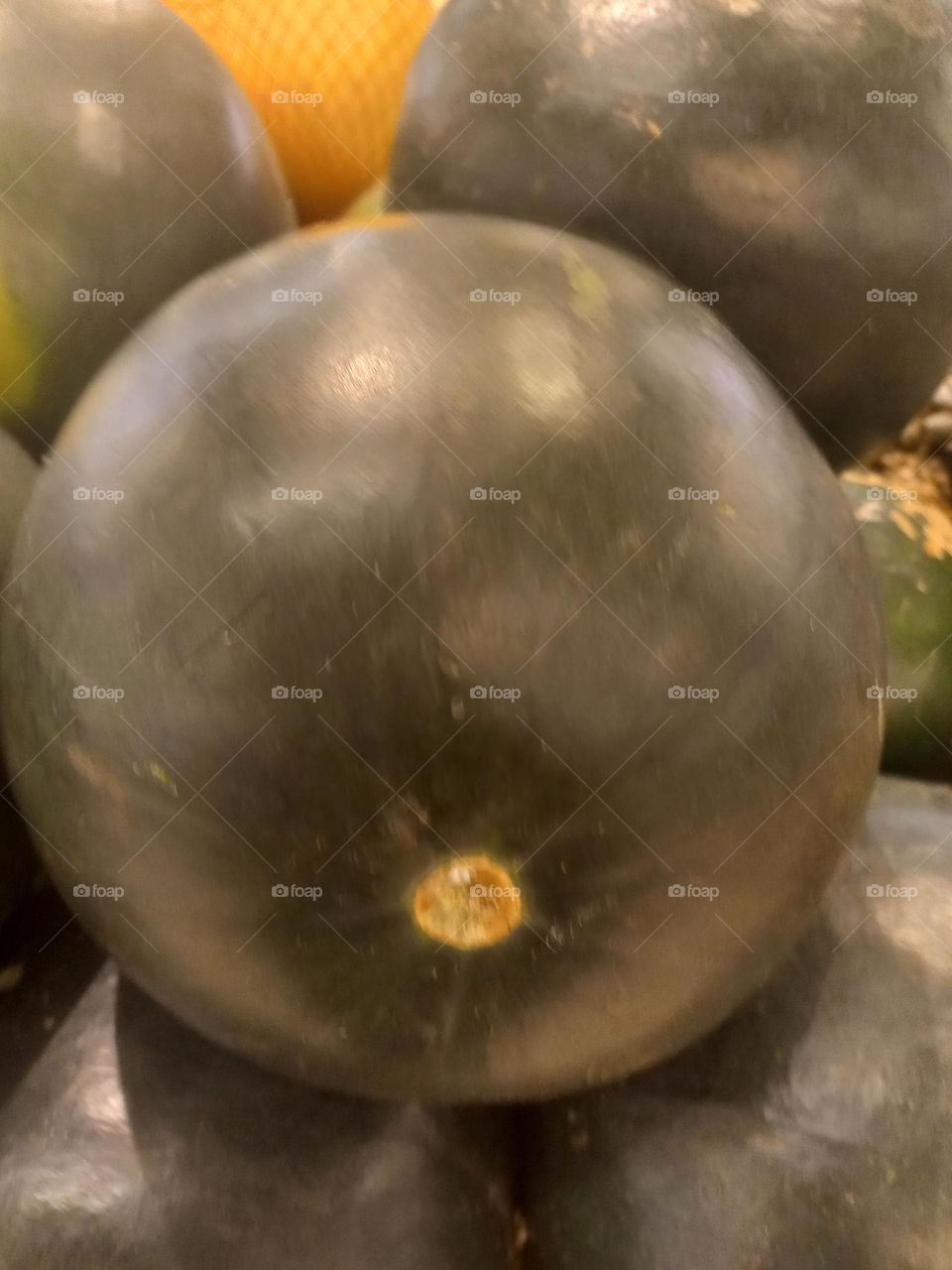 Melancia Pingo-doce, é uma variedade de melancia, caracterizada por sua casca verde-escura, com listras verdes -claras, polpa vermelha, doce e suculenta