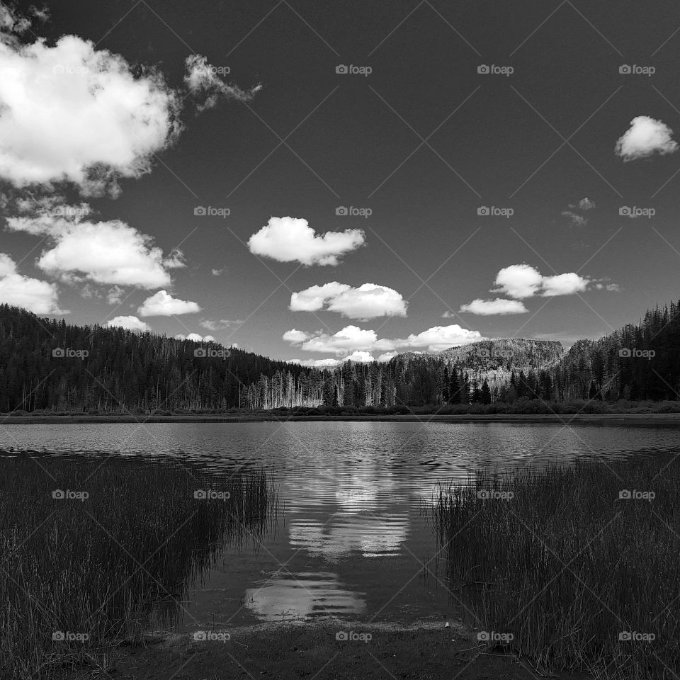 Clouds reflecting in Lost Lake on a sunny summer day 