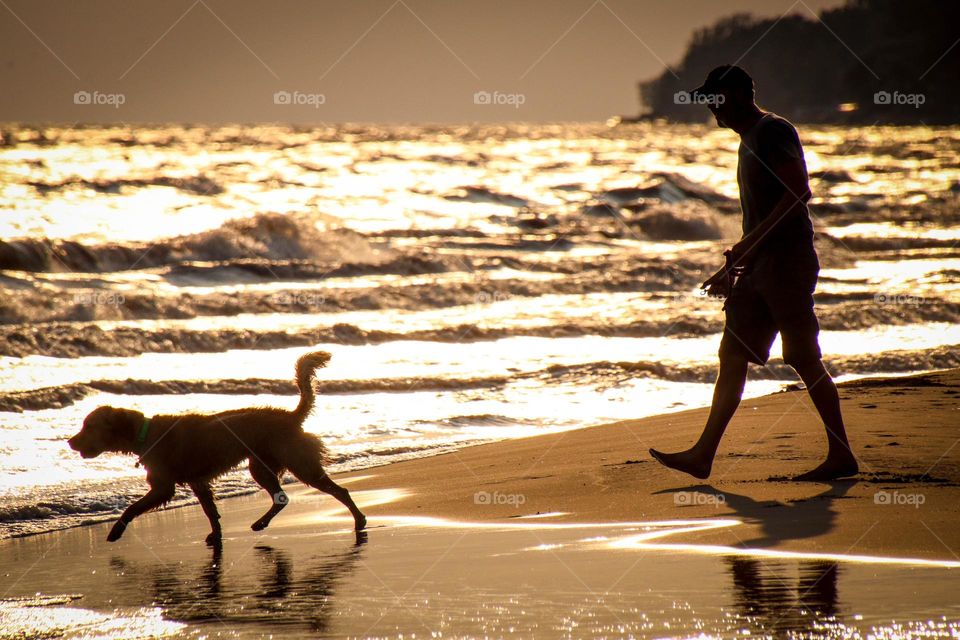 Walking the dog by the lake