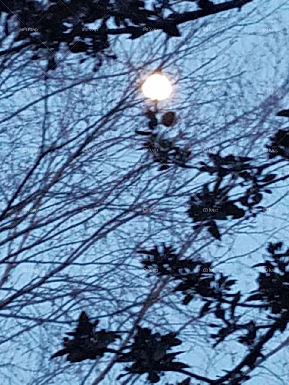 April  2018 Last Moon