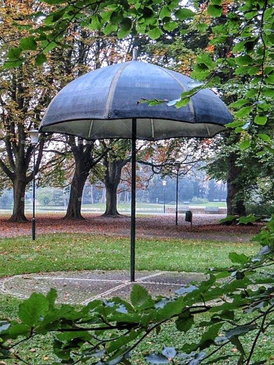 Umbrella in the park