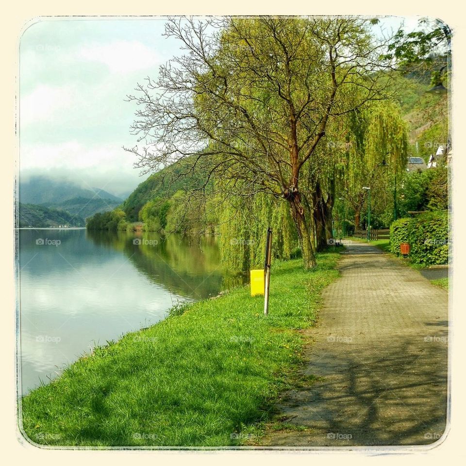 Path along the Mosel 
