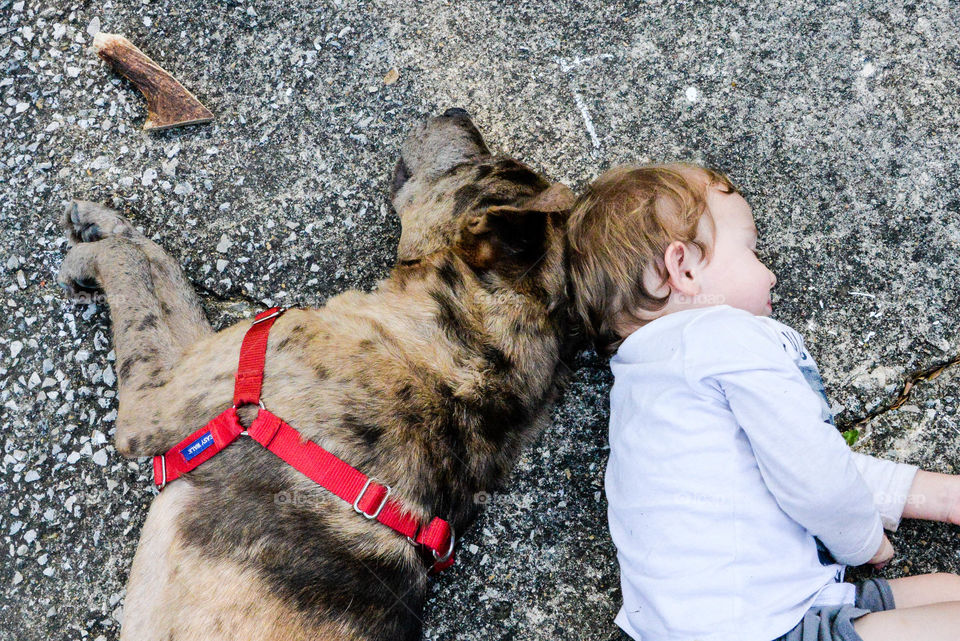 A dog and his boy