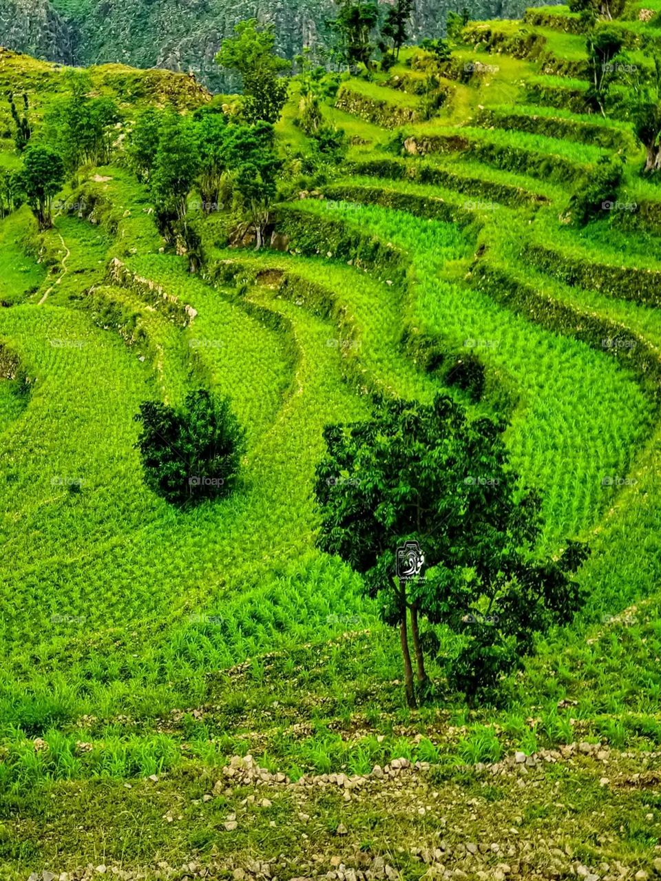 Glory be to God, the natural landscape is amazing