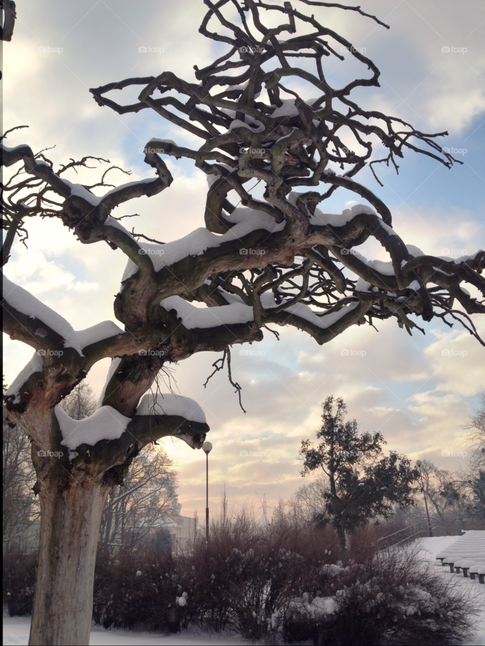 bydgoszcz snow winter sky by xhdpit