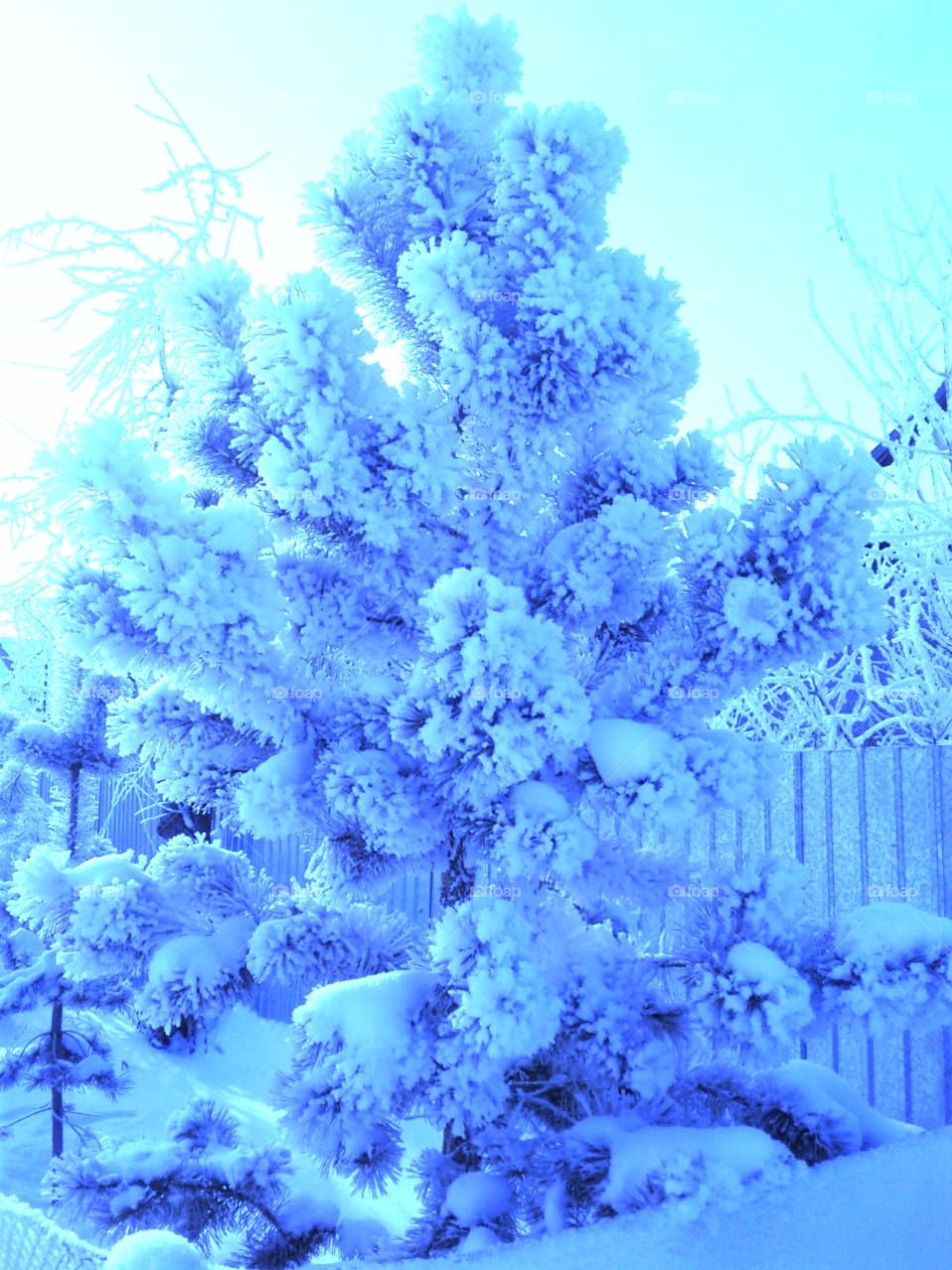 So schön  , beautiful time