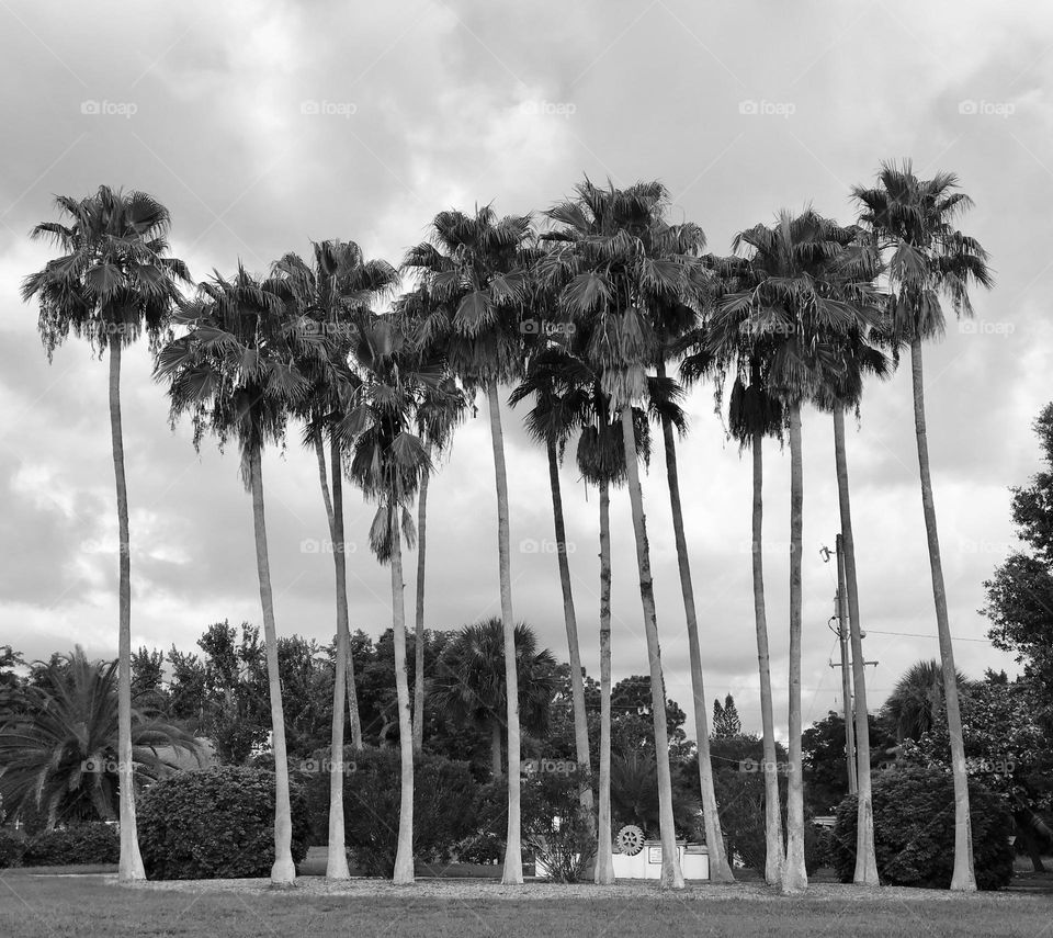 Postcard from Paradise 