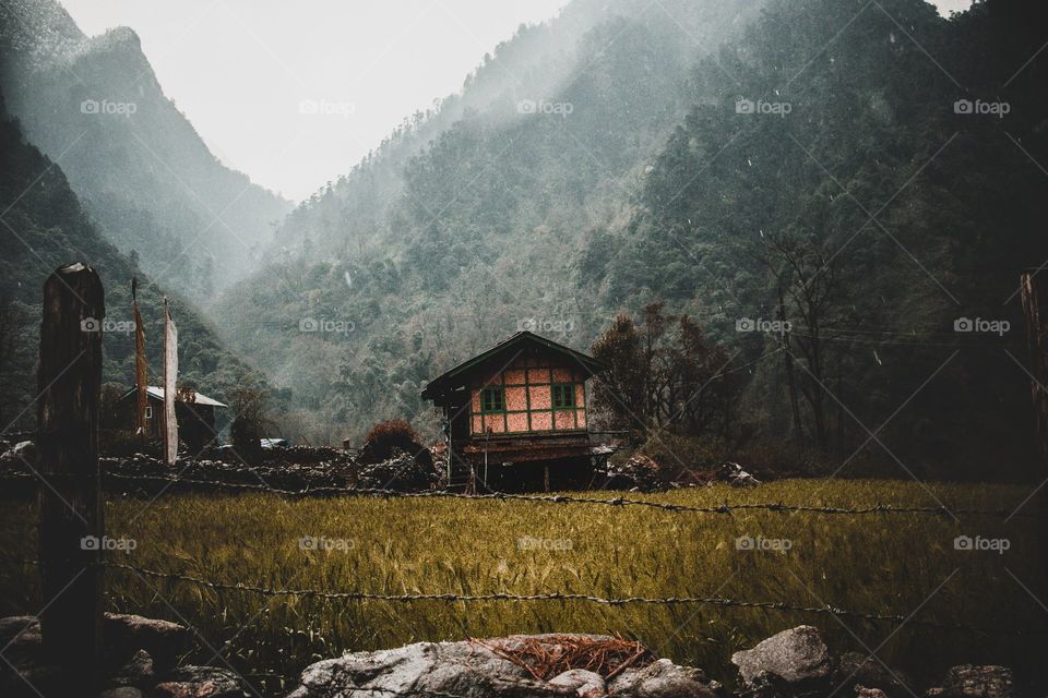 Cabin With Tall Tree Covered Hills Behind It Photo