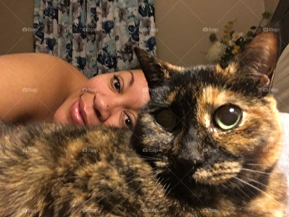 Calico Cat Cuddles Before Bed