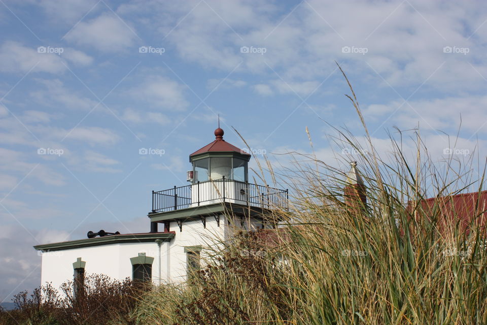 Lighthouse 