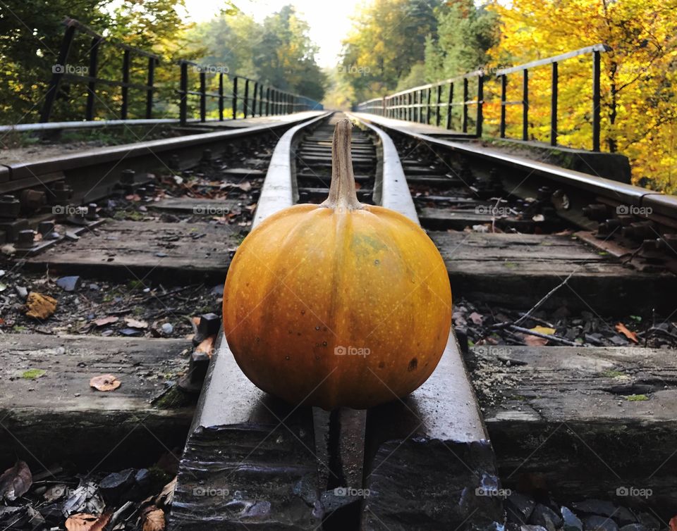 Pumpkin on railway track
