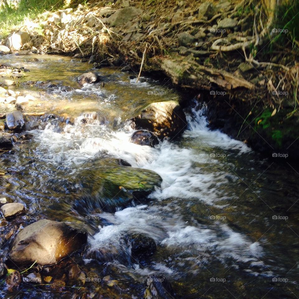 Creek flowing 