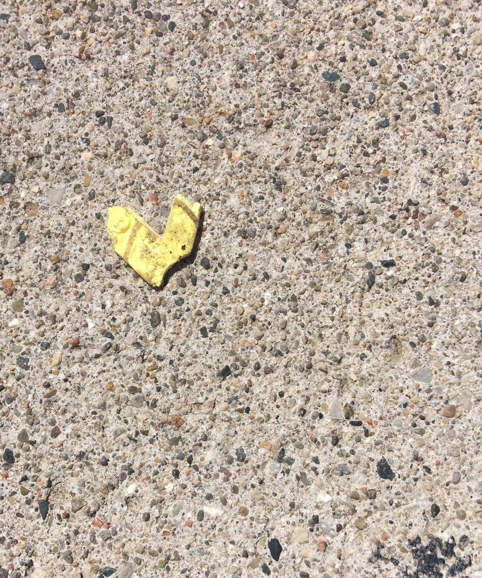Finding Hearts In Unexpected Places 