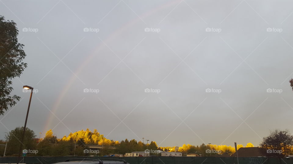 rainbow and lamp