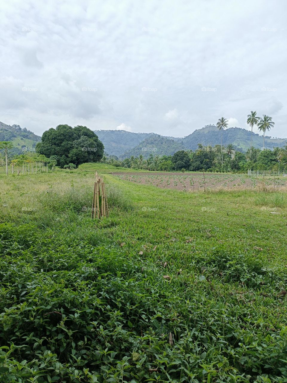 farming is a school of hope