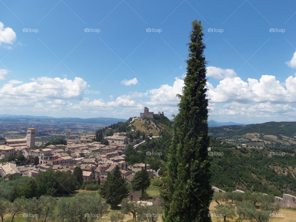 A landscape view of a castle in Italy just beyond a tall tree