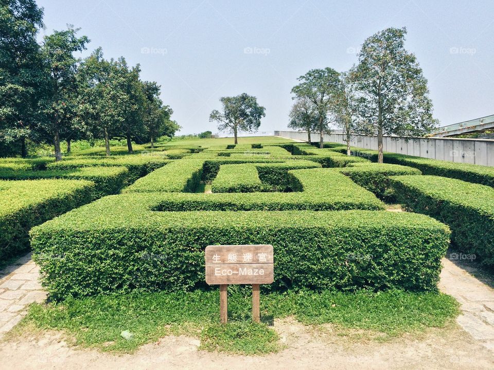 ECO Maze