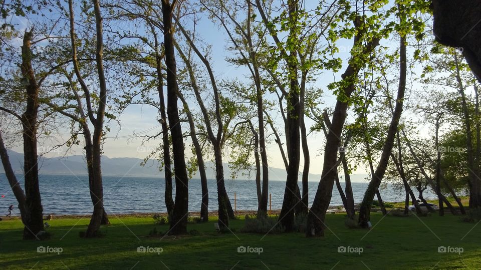 Trichonida lake Greece