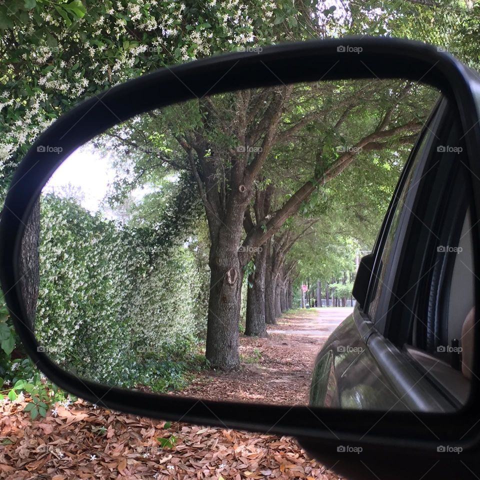 Beauty in the rear view mirror.