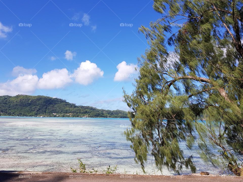 View of Seychelles