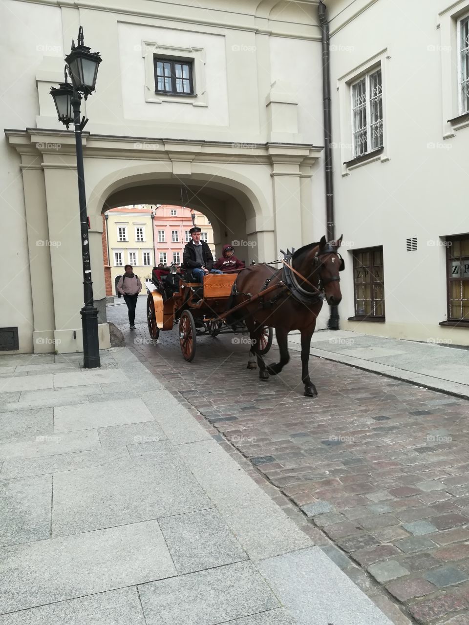 Horse cart