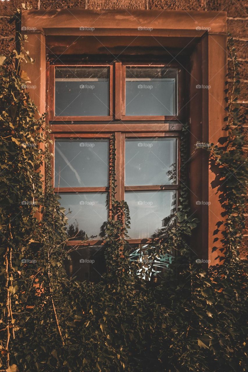 Window of an abandoned building in the evening sunset giving it a vintage vibe.