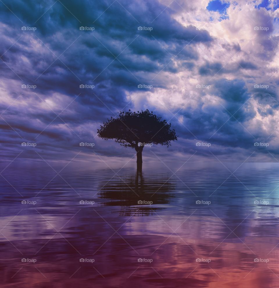 clouds-tree-blue-lake