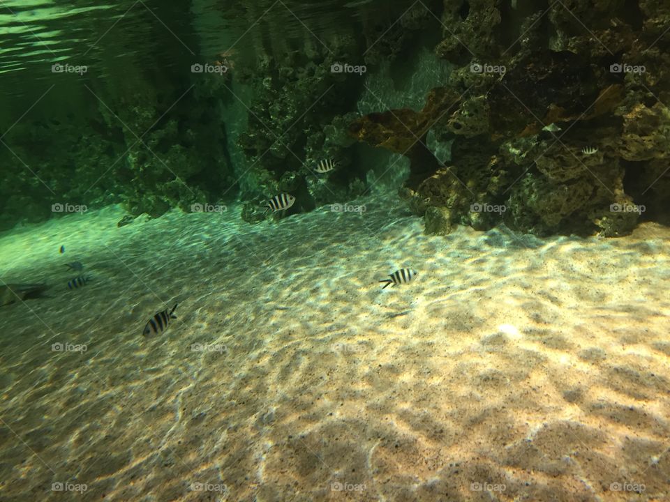 Under water
